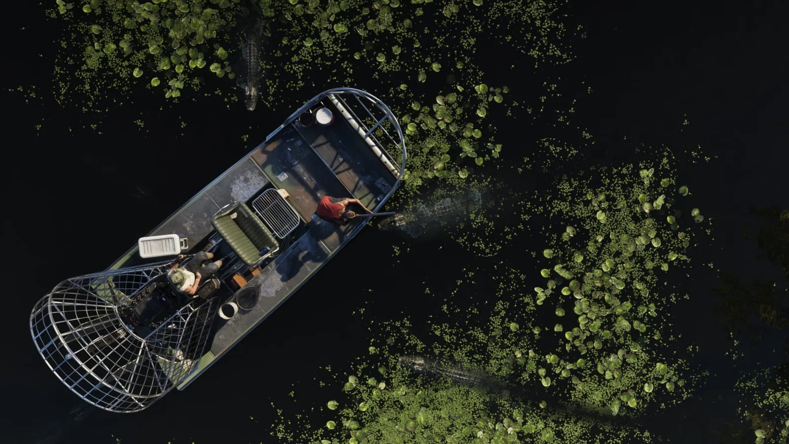 Eine Luftaufnahme von oben auf ein Luftkissenboot, das durch dunkles Sumpfwasser mit Seerosen in den GTA-6-Everglades gleitet