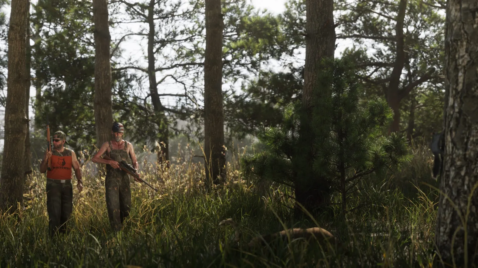 Dois caminhantes andando por um pinhal ensolarado no Parque Nacional Mount Kalaga em GTA 6
