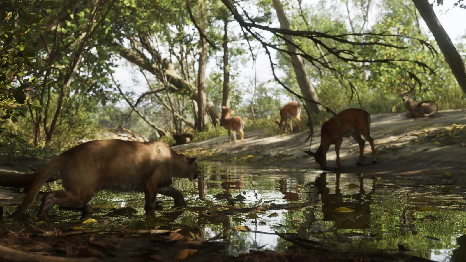 Des cerfs et un sanglier s'abreuvant à un ruisseau forestier dans le parc national de Mount Kalaga dans GTA 6
